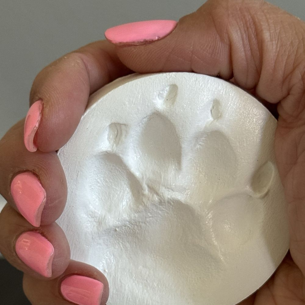 Small Paws Cremations - Pet Cremation Services Near Me - Los Angeles, California Small Paws Cremations - Pet Cremation Services Near Me - Los Angeles, California