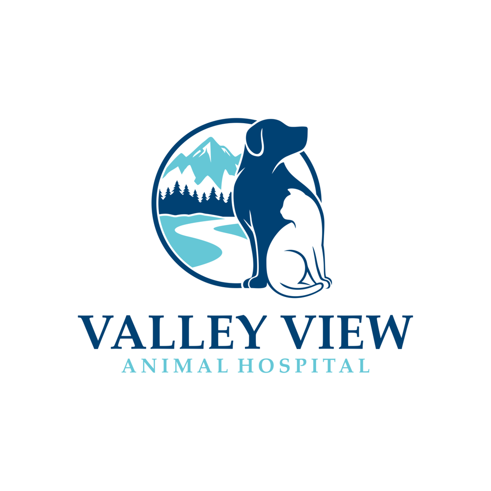 Valley View Animal Hospital - pet boarding facility in Windsor, CO