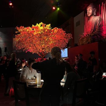 Blackbird Modern Asian - Inside - Bars Near Me - Jupiter, Florida Blackbird Modern Asian - Inside - Bars Near Me - Jupiter, Florida