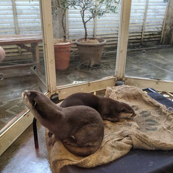 動物と遊べるテラスharry 原宿テラス店 76 Photos 神宮前4 26 5 渋谷区 東京都 Japan Yelp