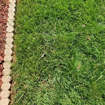 Premier Solar Cleaning - Didn't even bother to pick up the feathers on top. - Solar Panel Cleaning Near Me - Lake Elsinore, California