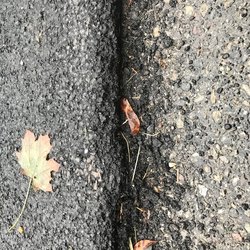 Mazza Paving & Sealcoating