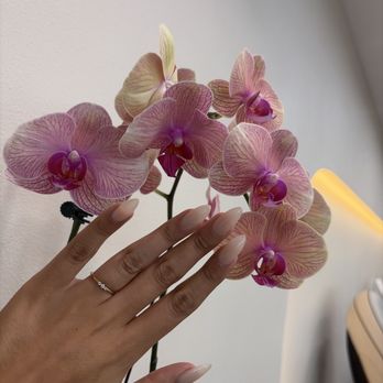 Long Beach Nails & Spa - Nail Salons Near Me - Long Beach, California Long Beach Nails & Spa - Nail Salons Near Me - Long Beach, California