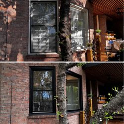 Replacement Window Center - Nashville - Black is Back!