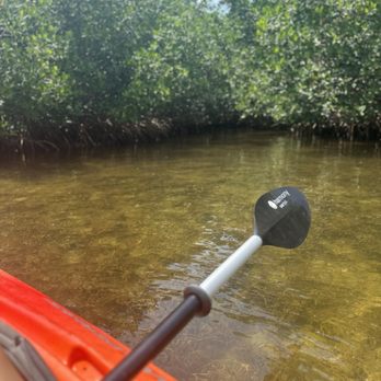 Lazy Dog Adventures - Rafting/Kayaking Near Me - Key West, Florida