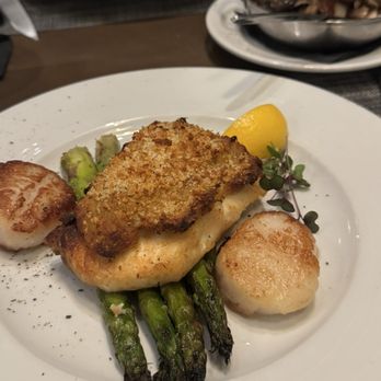 Summer House Steak & Seafood - Halibut with scallops and a side of mushrooms - Seafood Near Me - Siesta Key, Florida Summer House Steak & Seafood - Halibut with scallops and a side of mushrooms - Seafood Near Me - Siesta Key, Florida
