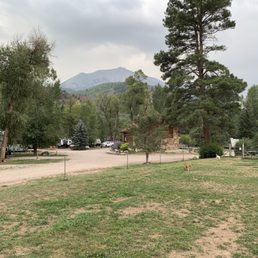 Dog park Dog park