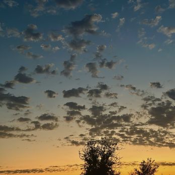 BarnHill Vineyards - Sunset at Barnhill Vineyards - Venues & Event Spaces Near Me - Anna, Texas