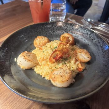 Ember - Scallops and risotto - Sushi Bars Near Me - Williamsburg, Virginia
