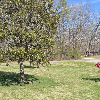 1. Bright Lawn Care