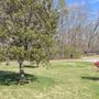 Photo of Bright Lawn Care