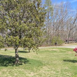 Bright Lawn Care