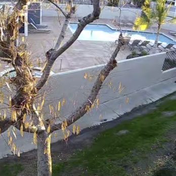 Jack Wires Comnunications - Pool area from my balcony - Security Systems Near Me - Montclair, California