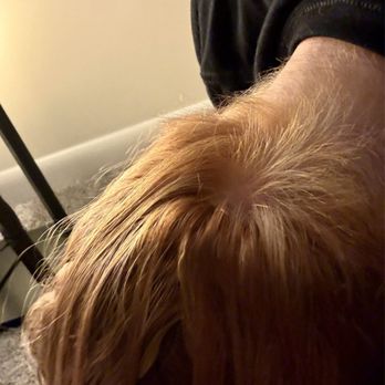 Ulta Beauty - The hair loss increased after this but I'm way too insecure to share. I'm so traumatized. - Hair Salons Near Me - Knoxville, Tennessee Ulta Beauty - The hair loss increased after this but I'm way too insecure to share. I'm so traumatized. - Hair Salons Near Me - Knoxville, Tennessee
