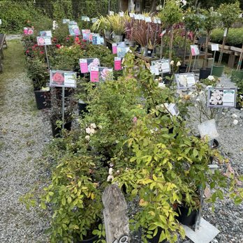 Half Moon Bay Nursery - Nurseries & Gardening Near Me - Half Moon Bay, California