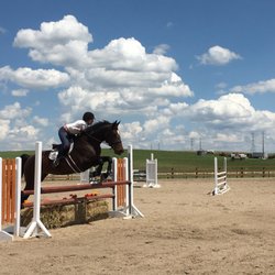 Little Raven Ranch - Huge Riding Arena as well as a heated indoor!