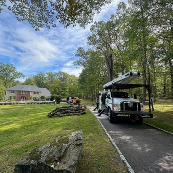 Johnson's Tree Service - Tree Services Near Me - Carmel Hamlet, New York Johnson's Tree Service - Tree Services Near Me - Carmel Hamlet, New York