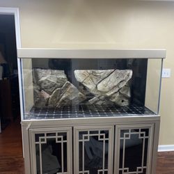 Triniti LYF Spress - Fish Tank