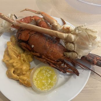 Boston Lobster Feast - Seafood Near Me - Orlando, Florida Boston Lobster Feast - Seafood Near Me - Orlando, Florida
