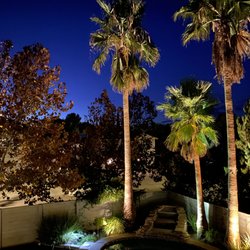 V-electric - Backyard lighting to include treetops