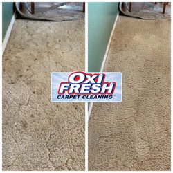 Oxi Fresh Carpet Cleaning
