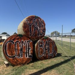 Decatur Garden Center - Pumpkin patch is open