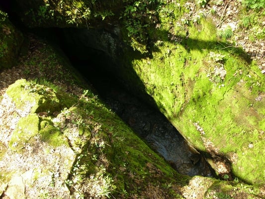 Rock Bridge Memorial State Park by null