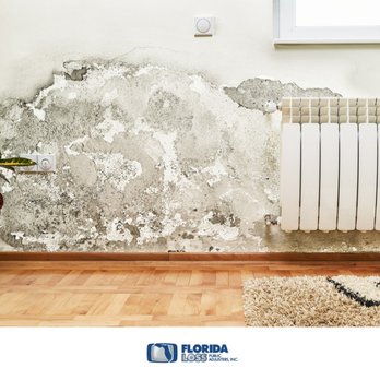 Florida Loss Public Adjusters - There is nothing more heartbreaking than seeing your home in ruins. Get the most out of your claim and call us at 954 430-7333 today! - Public Adjusters Near Me - Pembroke Pines, Florida Florida Loss Public Adjusters - There is nothing more heartbreaking than seeing your home in ruins. Get the most out of your claim and call us at 954 430-7333 today! - Public Adjusters Near Me - Pembroke Pines, Florida