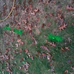 Essential Home Maintenance Checklist: Keep Your Home in Top Condition