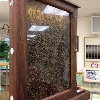 Topsfield Fair - Bee Exhibit - Venues & Event Spaces Near Me - Topsfield, Massachusetts