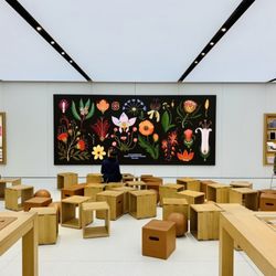 Apple Pentagon City - Learning Center & Demo Space for Free Classes!