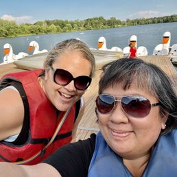 Swan boats