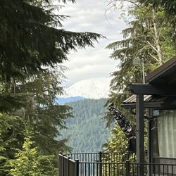 Lake Merwin Camper's Hideaway - Mt Saint Helens