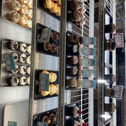 Molly's Cupcakes - Cupcakes