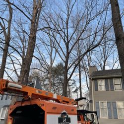 J-1 Tree Service