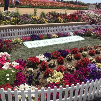 The Flower Fields - Venues & Event Spaces Near Me - Carlsbad, California The Flower Fields - Venues & Event Spaces Near Me - Carlsbad, California
