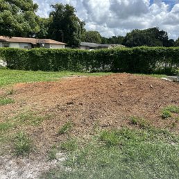This is the pile of mulch that is still in my yard that we paid to have removed.