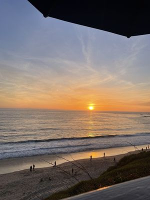 Manzanita Cottages by null