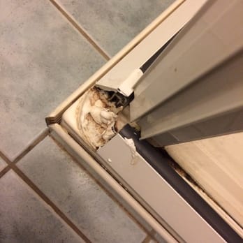 The Old Quarter Townhouse - Bathroom was in disrepair. The photo shows one of the areas falling apart on the shower. - Guest Houses Near Me - Limerick, LK The Old Quarter Townhouse - Bathroom was in disrepair. The photo shows one of the areas falling apart on the shower. - Guest Houses Near Me - Limerick, LK
