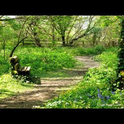 Penrhos Coastal Park - The magic of Penrhos Nature Reserve