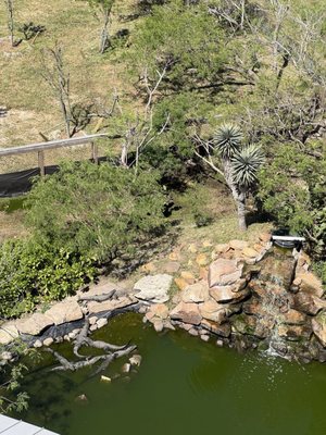 South Padre Island Birding And Nature Center by null