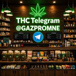 Fairy Vape Store Antwerpen
