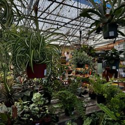 The Garden
