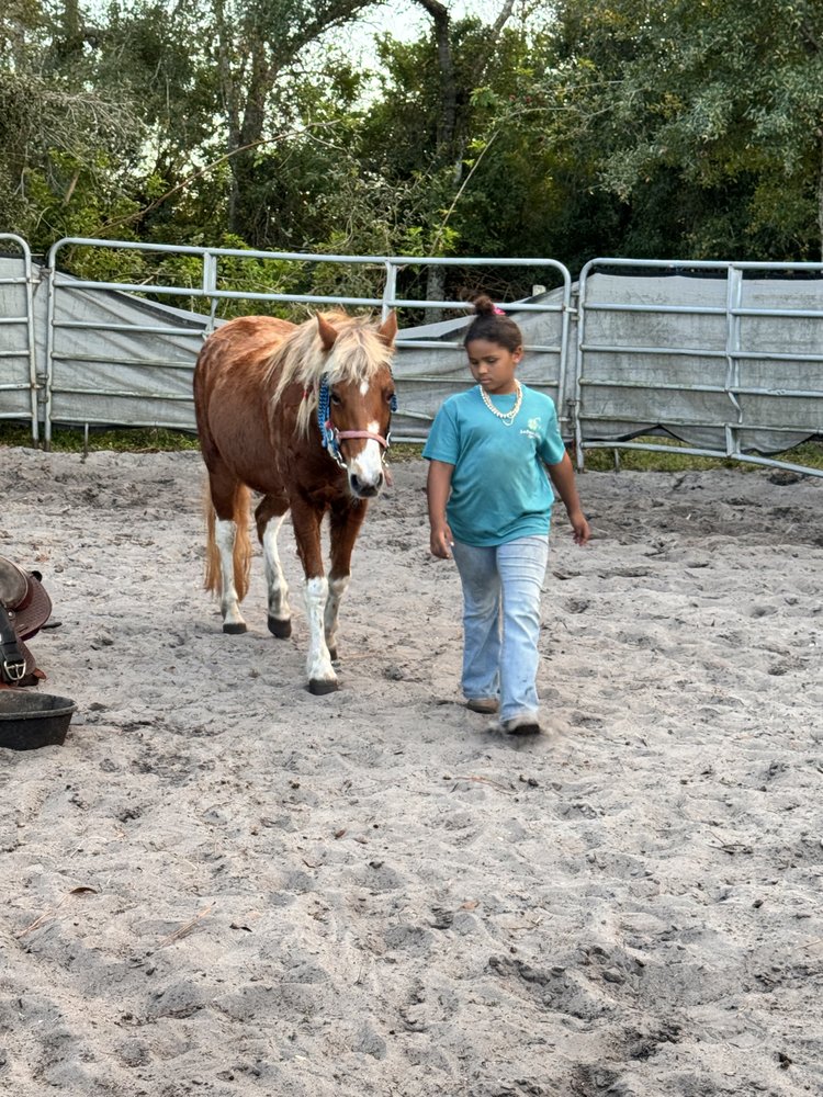 HWLM Horsemanship Youth Mentorship Program  Logo