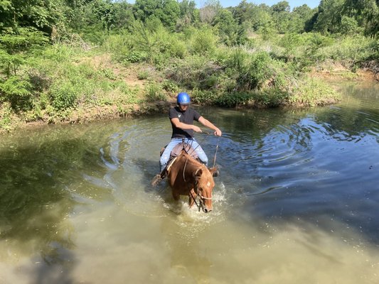 Widowmaker Trail Rides by null