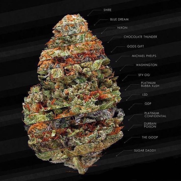 VALLEY MARIJUANA DELIVERY SERVICE 420 W 215th St, Calabasas, California Cannabis