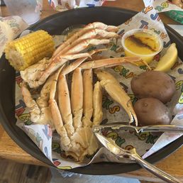 Snow crab Snow crab