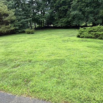 1. Lawn Doctor