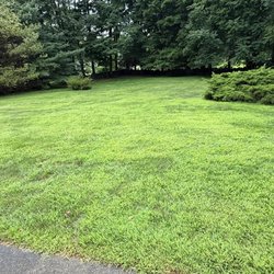 Lawn Doctor - This is the state of my lawn under their car.