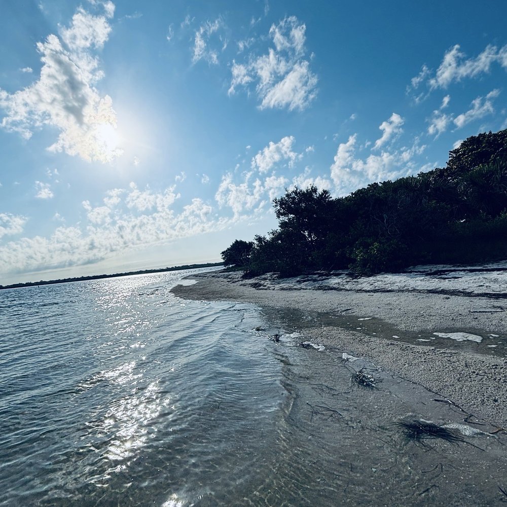Fred Howard Park - A perfect morning spent at Howard Beach - Parks Near Me - Tarpon Springs, Florida Fred Howard Park - A perfect morning spent at Howard Beach - Parks Near Me - Tarpon Springs, Florida